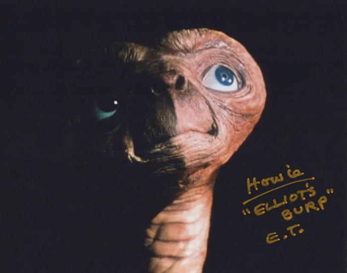 Howie Hammermann autograph