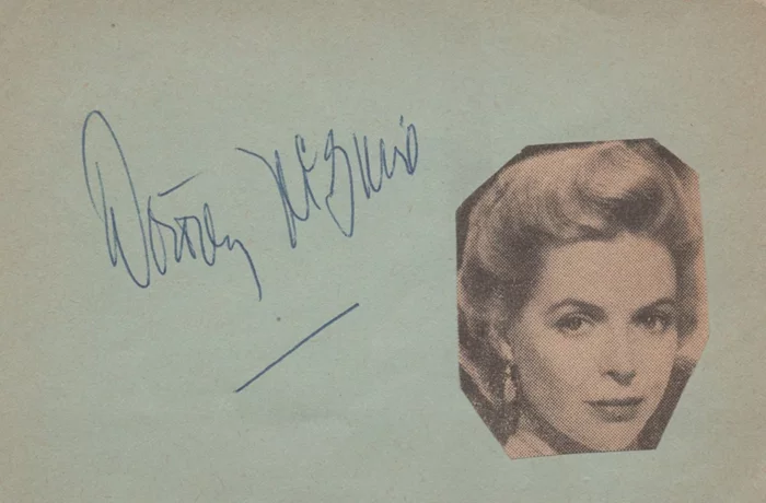 Dorothy McGuire autograph