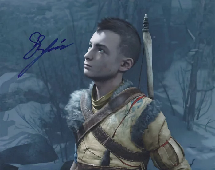 Sunny Suljic autograph
