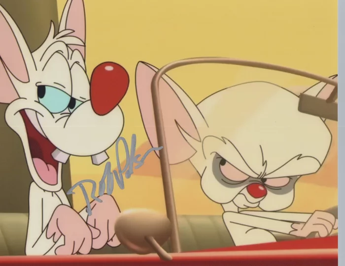 Rob Paulsen autograph