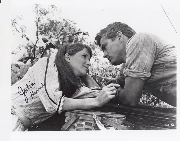 Julie Harris autograph