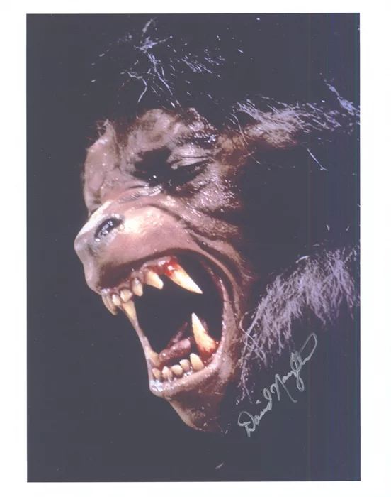 David Naughton autograph