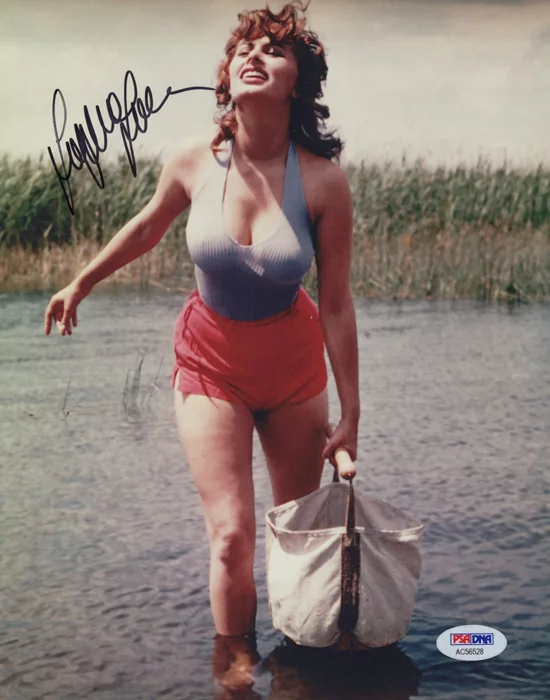 Sophia Loren autograph