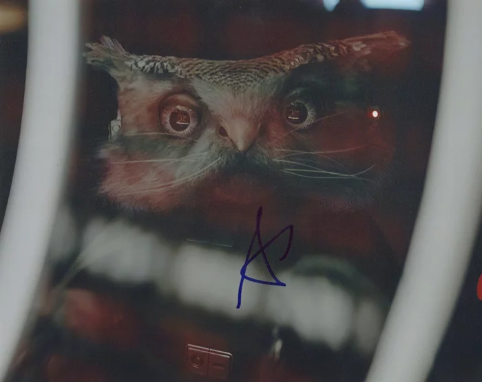 Alia Shawkat autograph