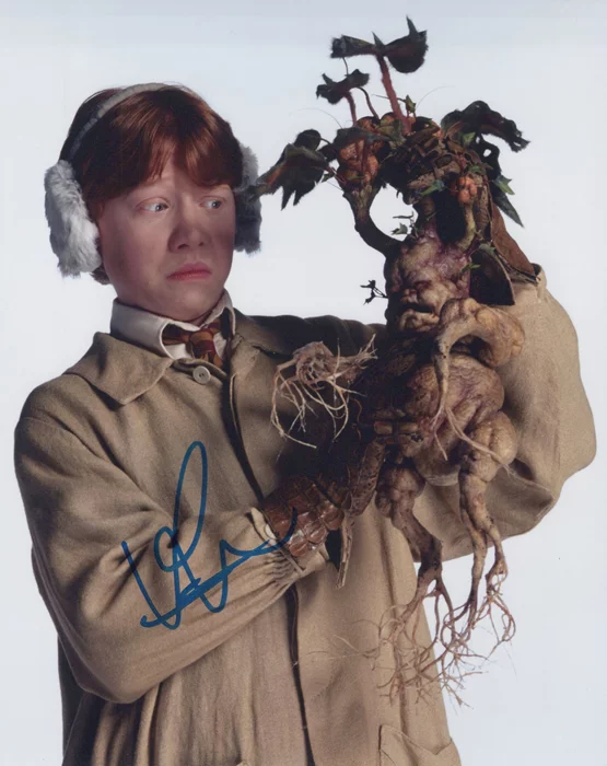 Rupert Grint autograph