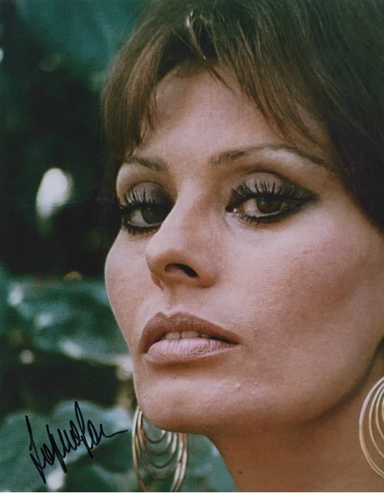 Sophia Loren autograph