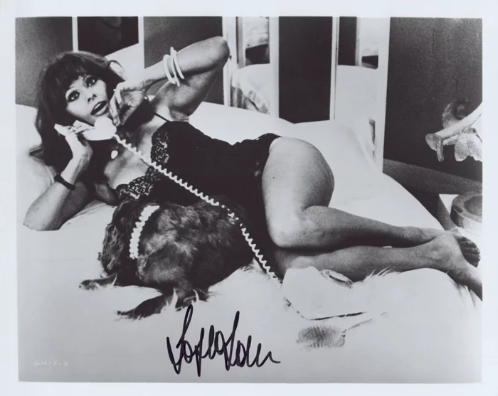Sophia Loren autograph