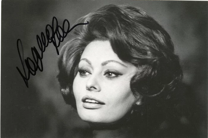 Sophia Loren autograph