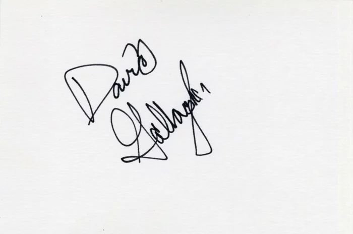 David Gallagher autograph