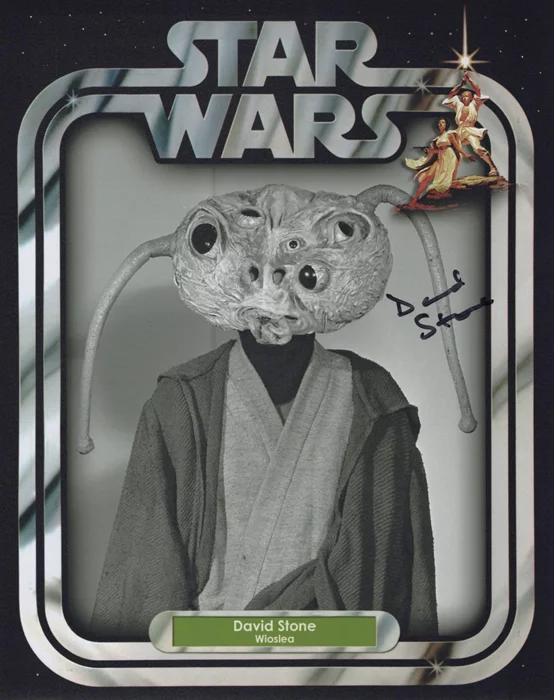 David Stone autograph