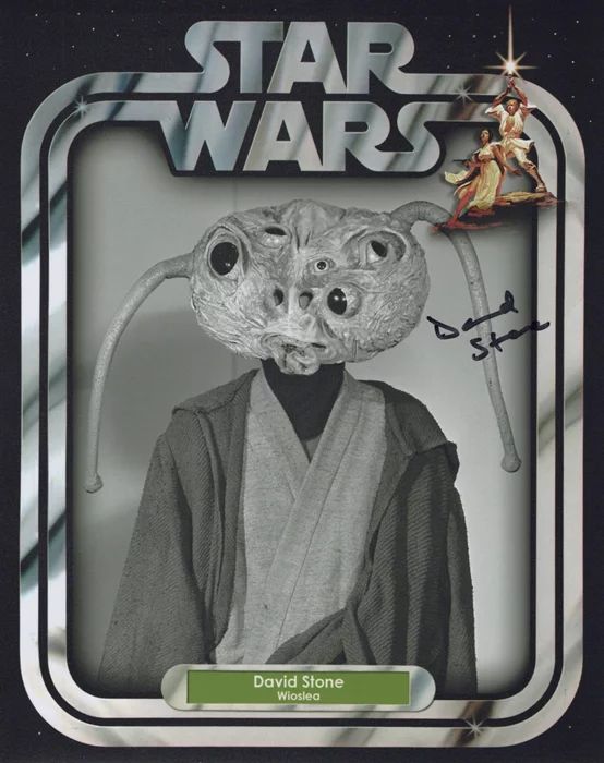 David Stone autograph