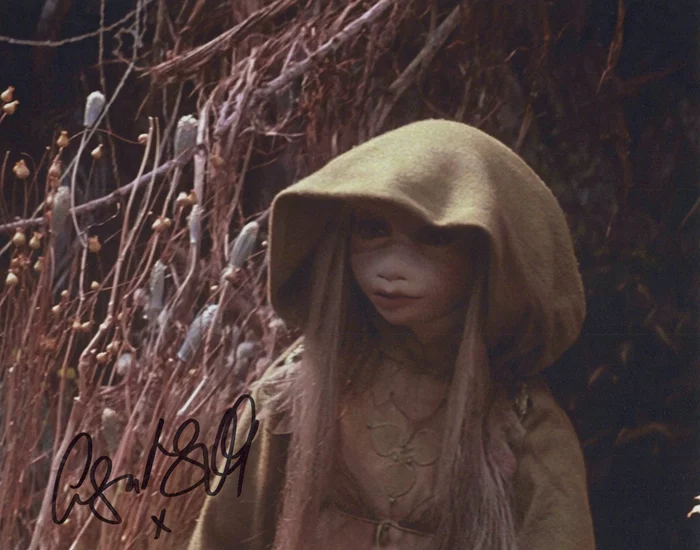 Lisa Maxwell autograph