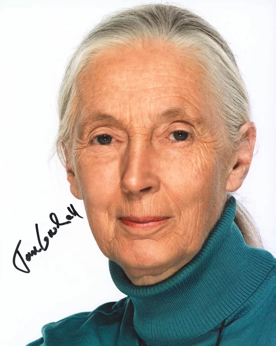 Jane Goodall autograph