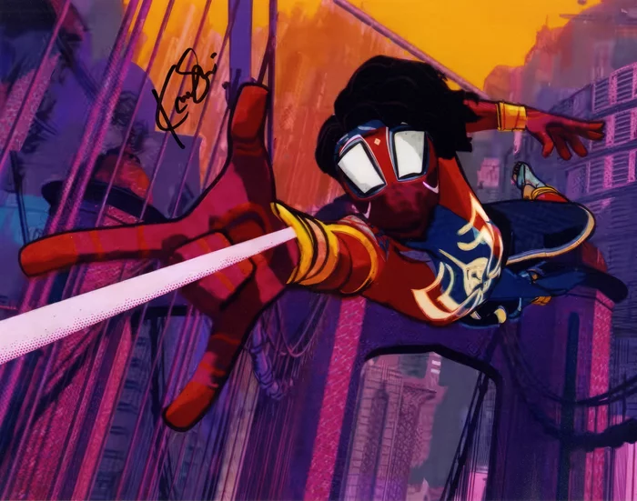 Karan Soni autograph