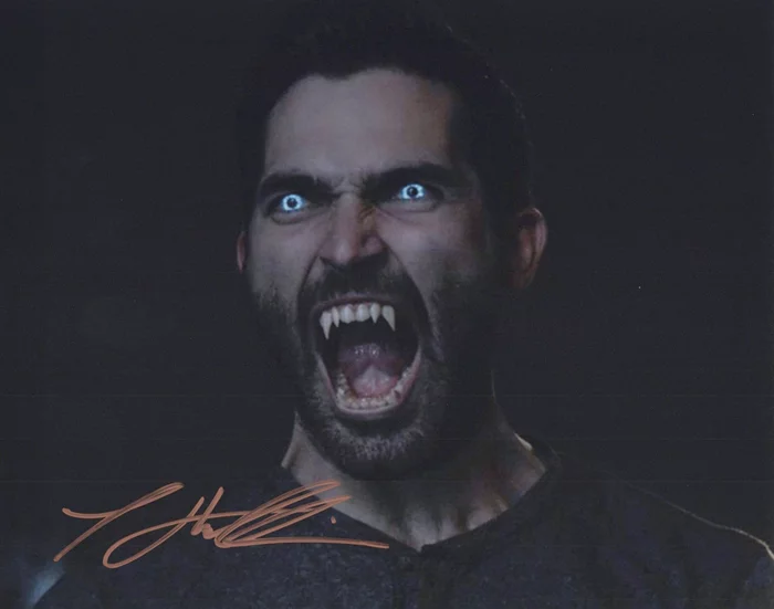 Tyler Hoechlin autograph