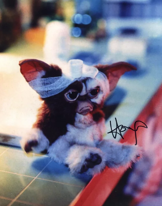 Howie Mandel autograph