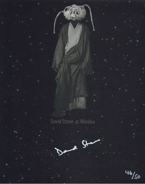 David Stone autograph