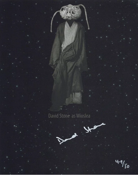 David Stone autograph