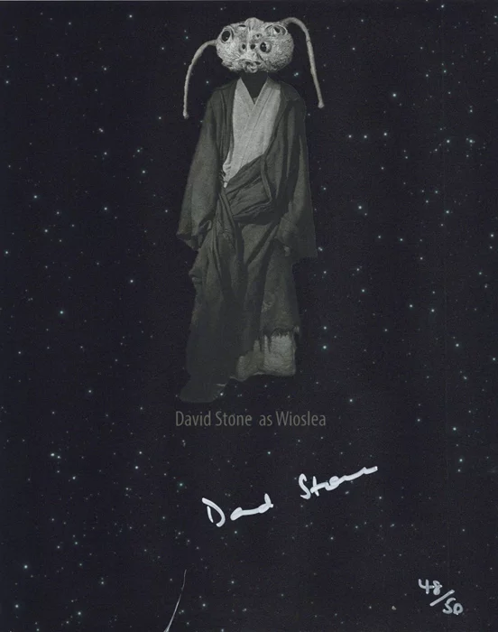 David Stone autograph