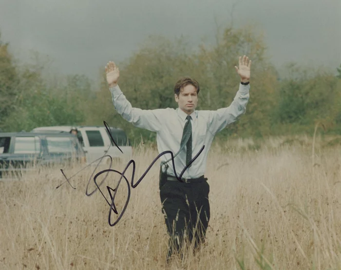 David Duchovny autograph