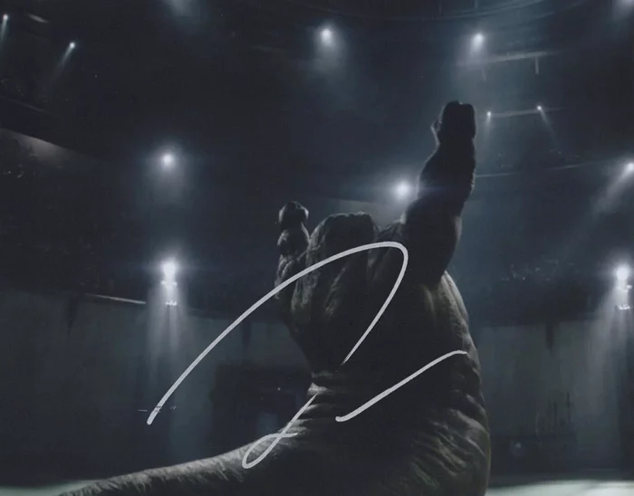 Jeremy Allen  White autograph