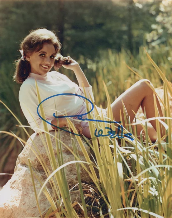 Dawn Wells autograph