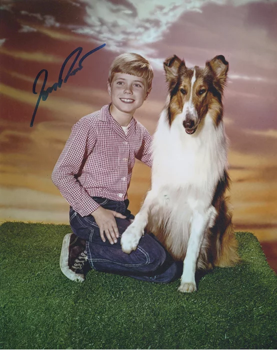 Jon Provost autograph
