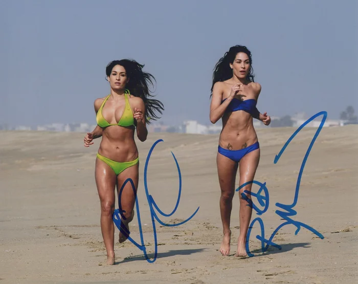 The Bella Twins autograph