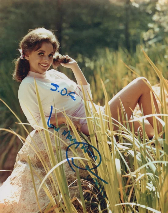 Dawn Wells autograph