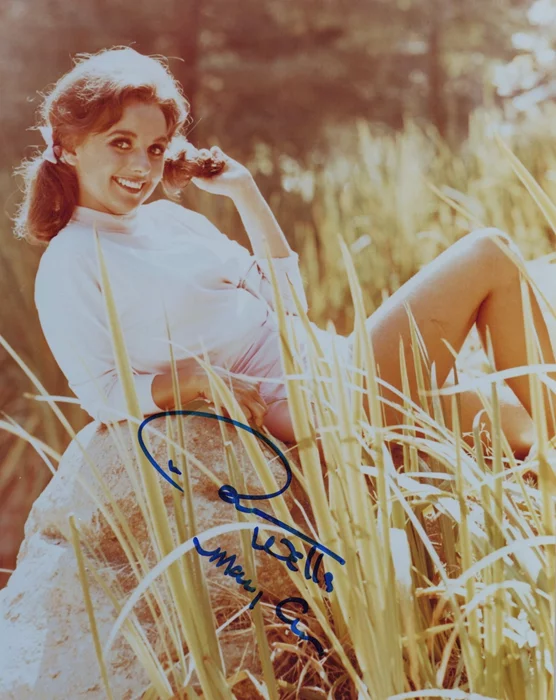 Dawn Wells autograph