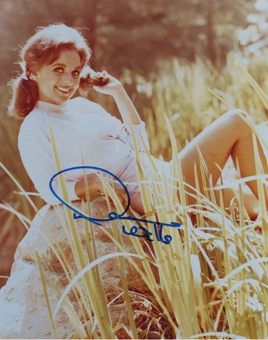 Dawn Wells autograph
