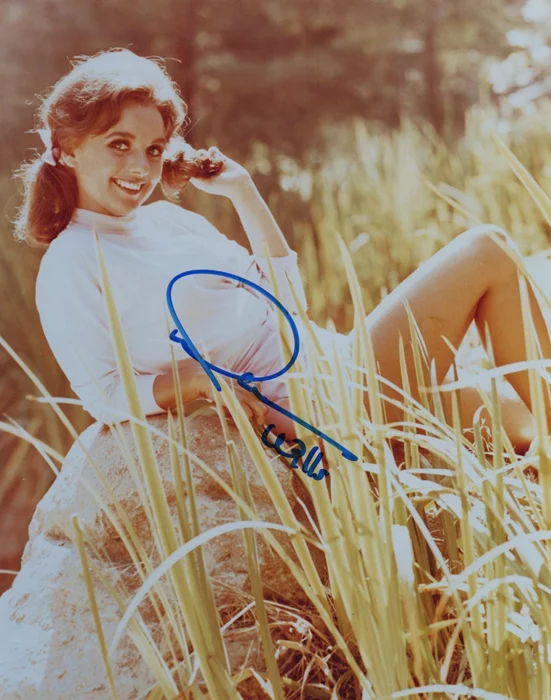 Dawn Wells autograph